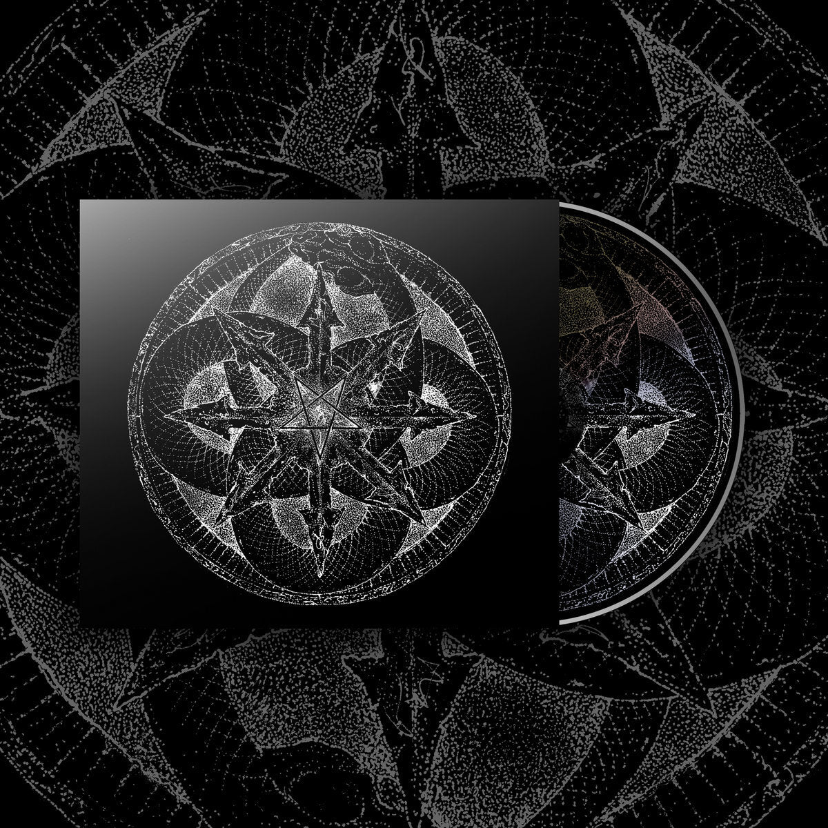 I Am the Void