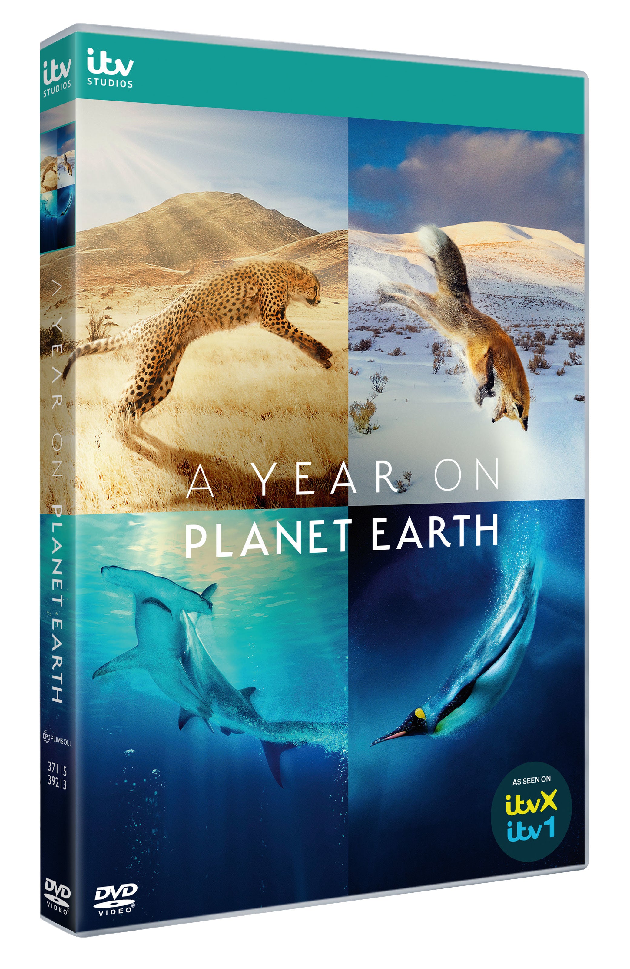 A Year On Planet Earth