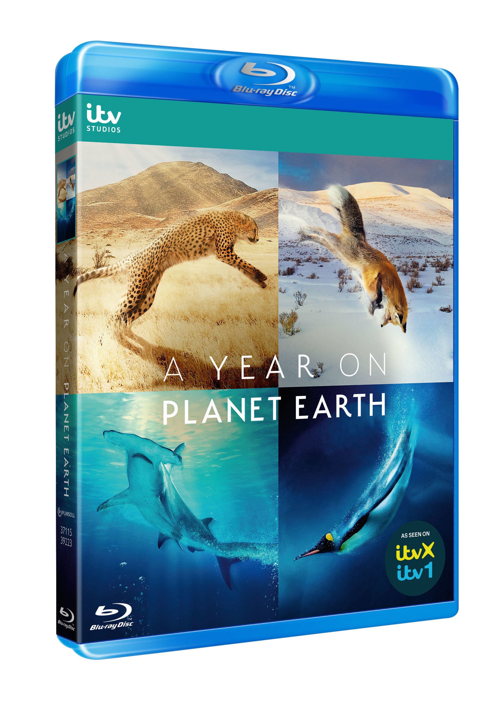 A Year On Planet Earth