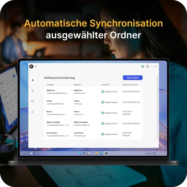 Synology BeeDrive 1TB 1 To Noir