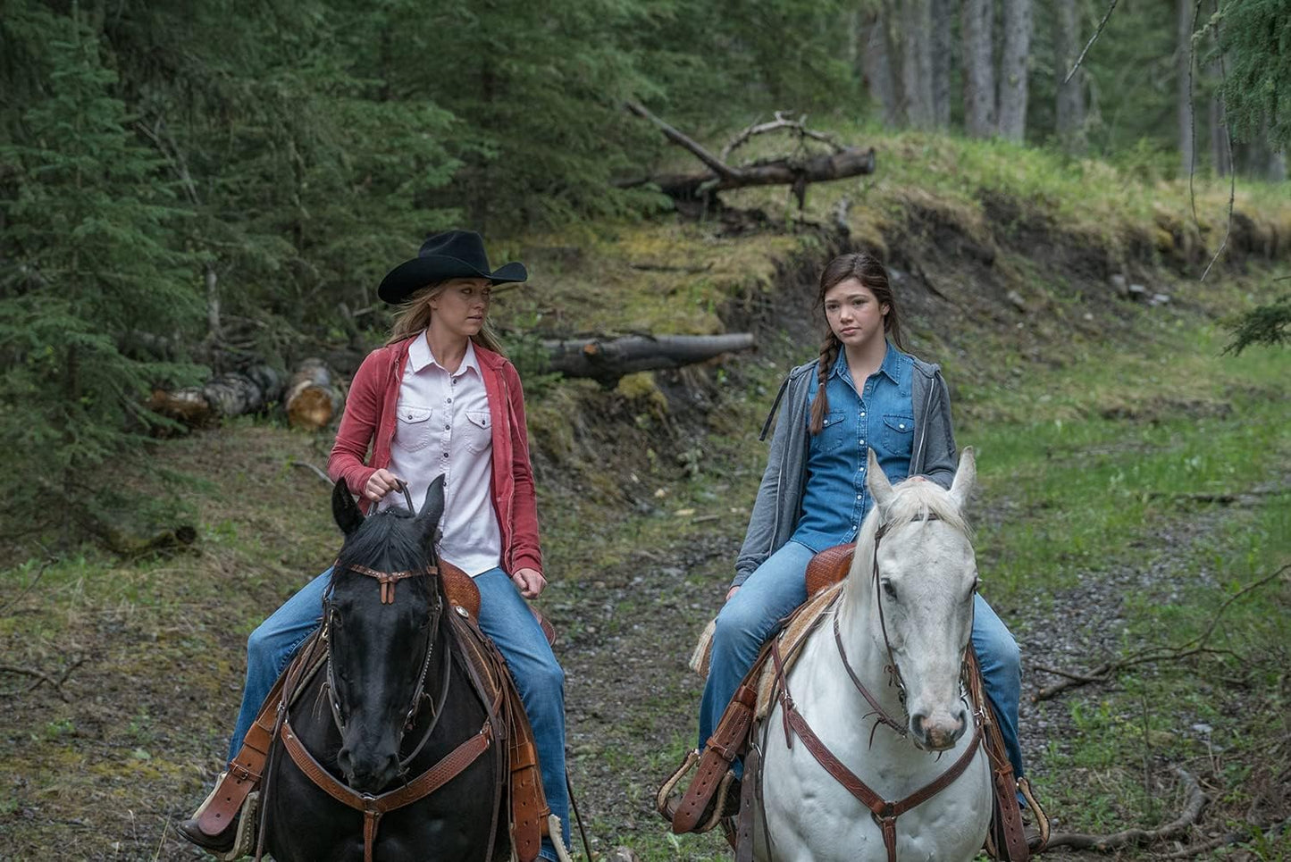 Heartland - Paradies für Pferde, Staffel 9 (Neuauflage