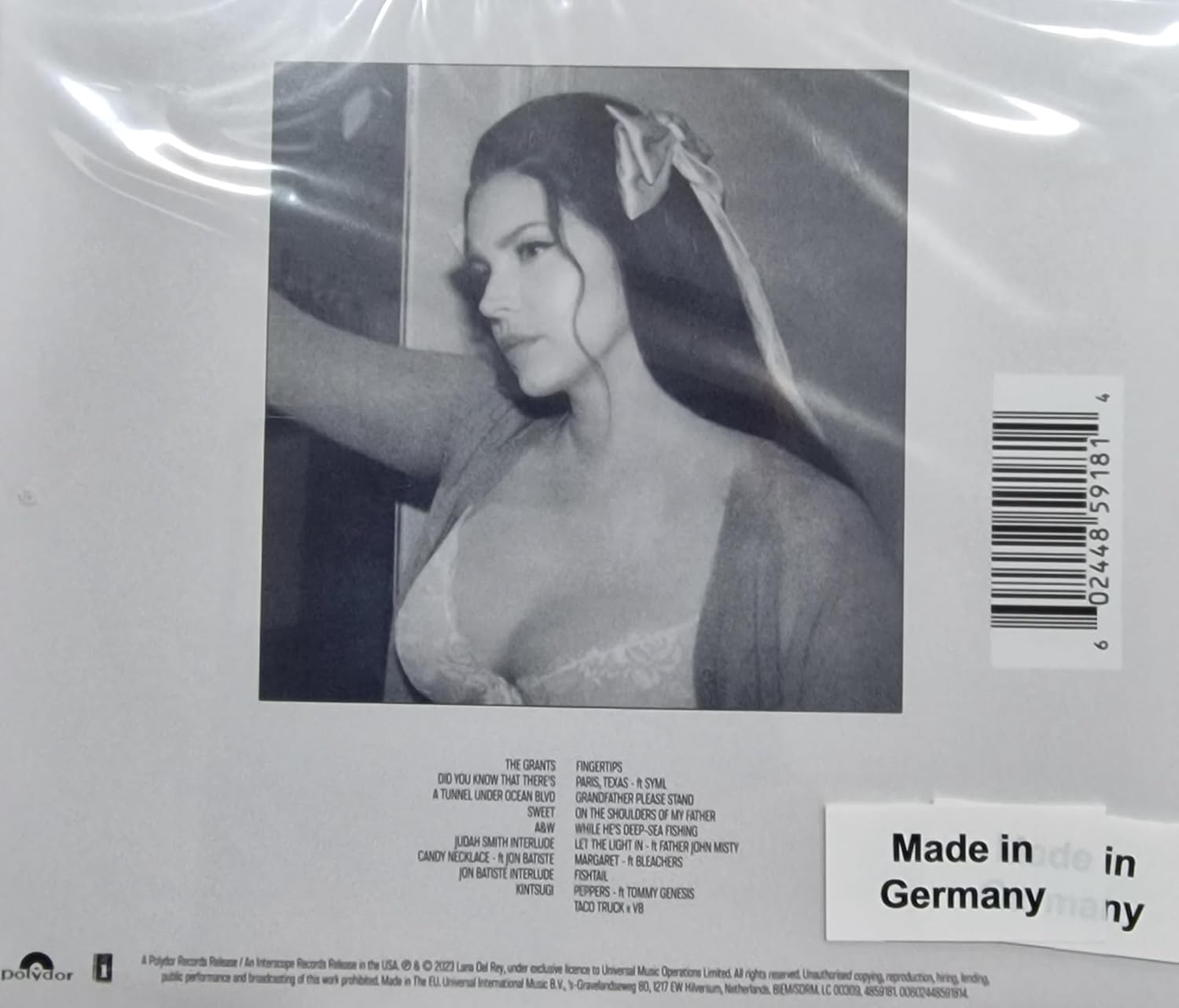 LANA DEL REY:DID YOU KNOW THAT-LANA DEL REY