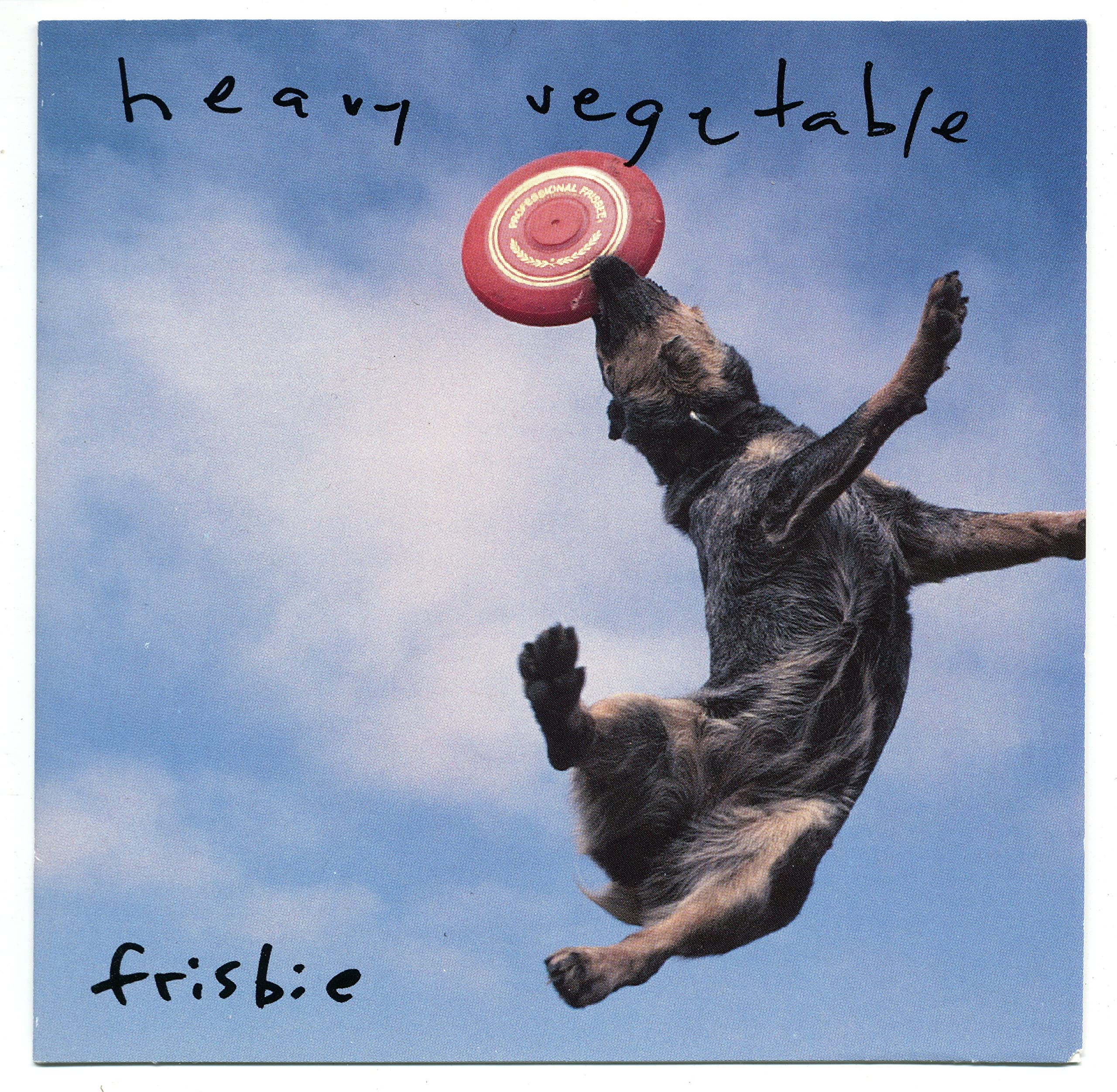 Frisbie