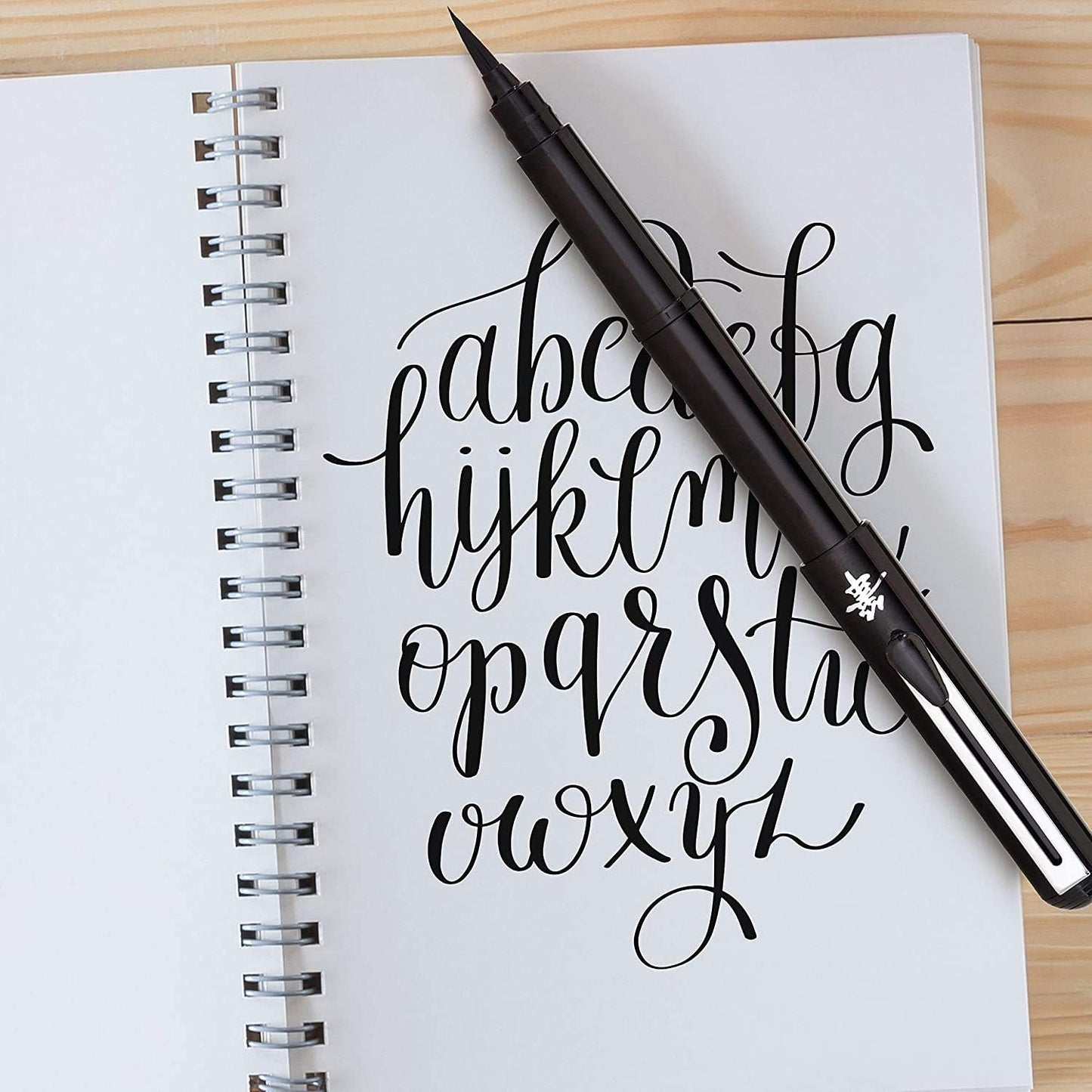 Pentel Fountain Brush Pen - Black ink, single piece