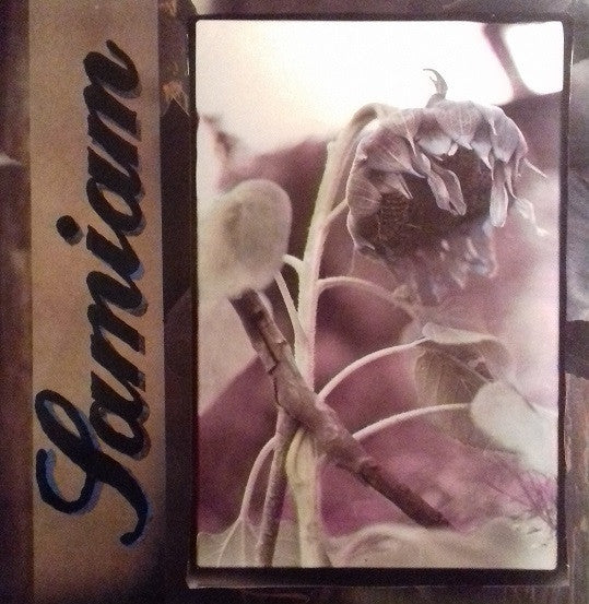 Samiam