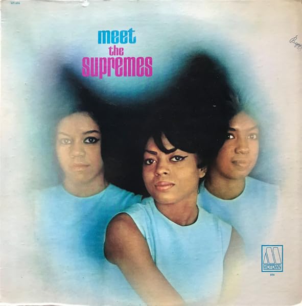 ERMITAGE meet the supremes (clear