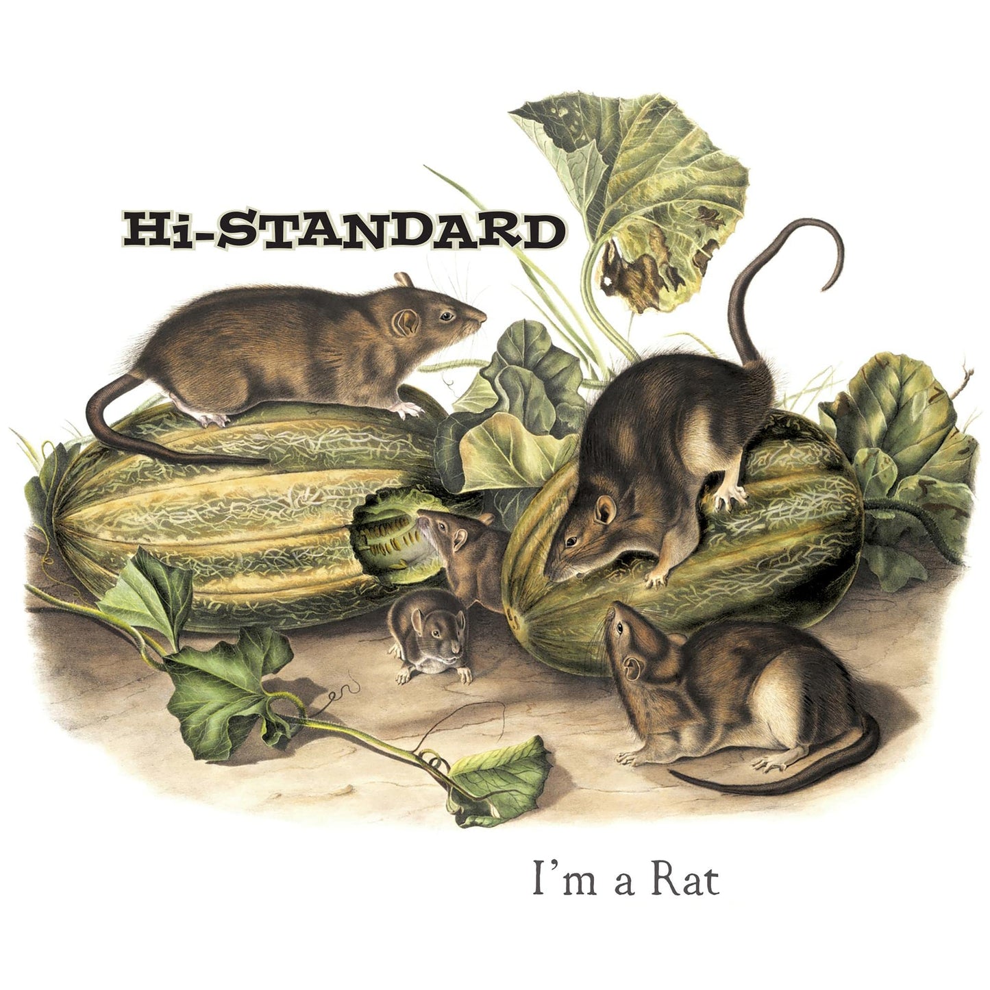 I'M a Rat (Picture Disc