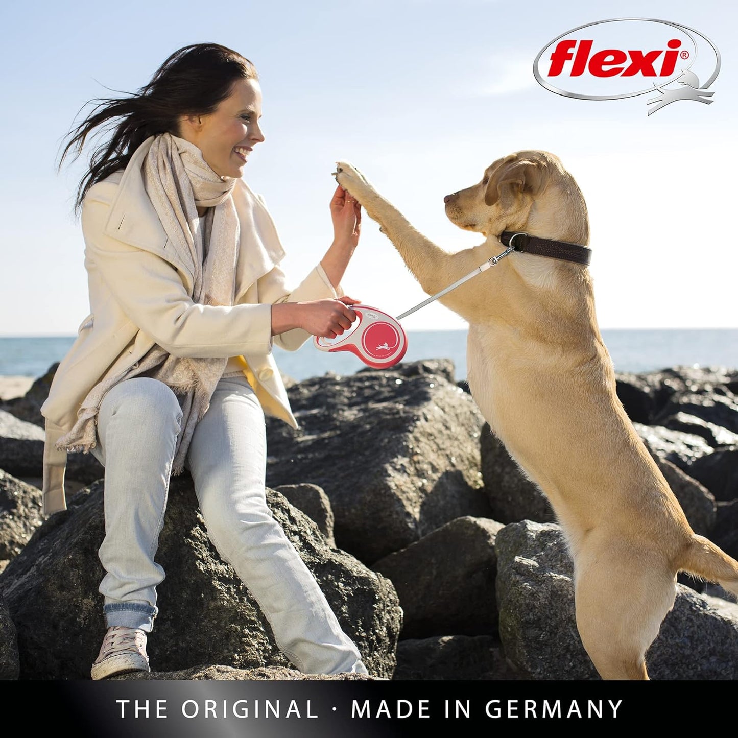 Flexi New Comfort Tape Grey & Black Extra Small 3m Retractable Dog Leash/Lead for dogs up to 12kgs/26lbs Extra Small (3m)