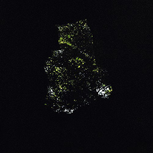 PRECIPICE (DLCD)