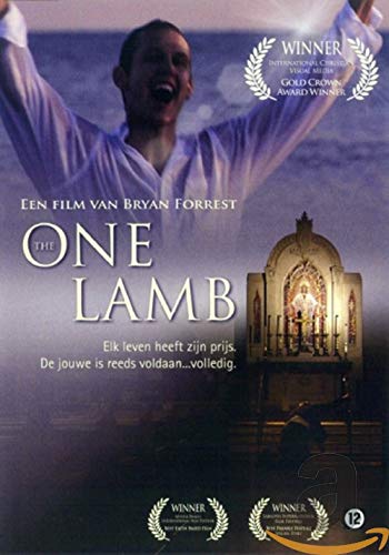 One lamb