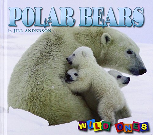 Polar Bears
