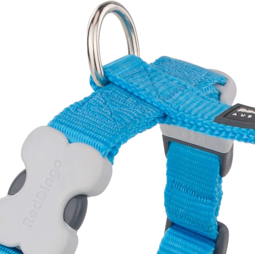 Red Dingo Dog Harness Plain, Turquoise, X-Small 12mm
