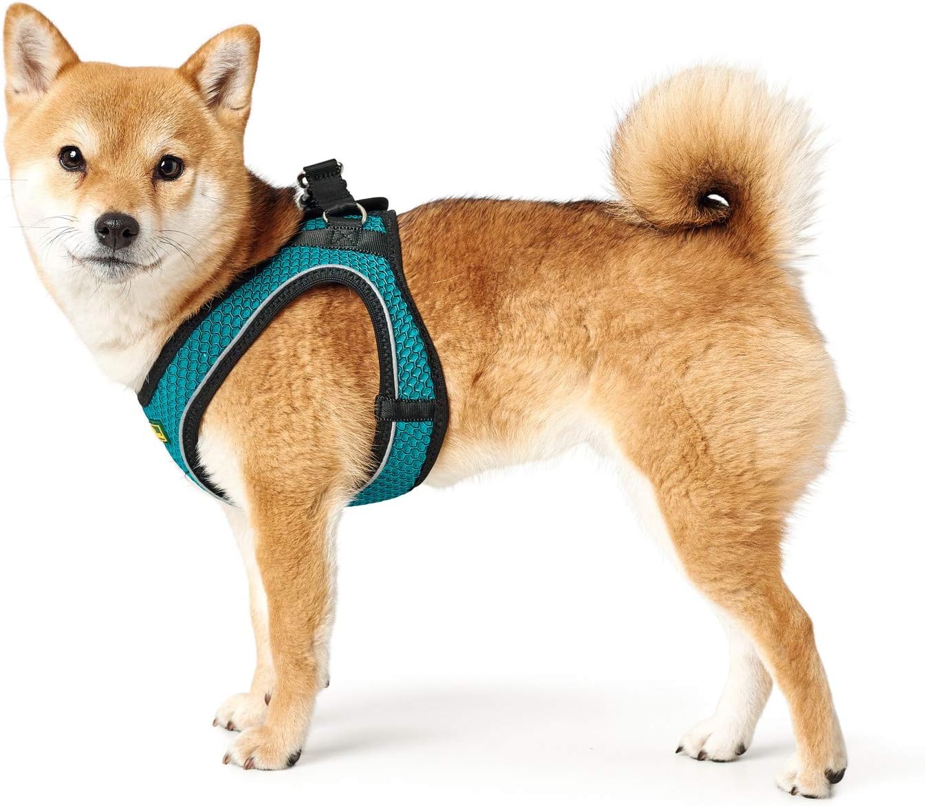 Hunter - Arnes Hilo Comfort Xxs-Xs Turquoise