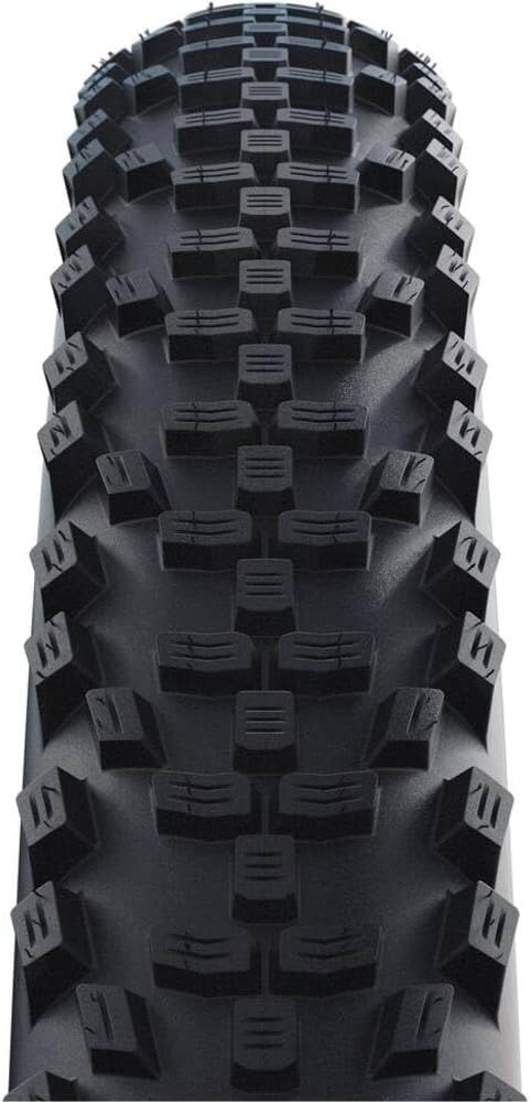 Schwalbe , 11159446