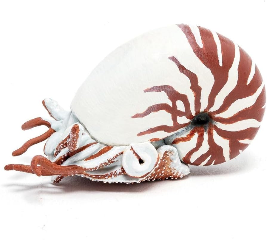 Papo Wild Life Oceaan Nautilus 56061