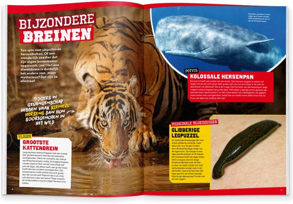 divers - National Geographic Junior Super Slimmeriken