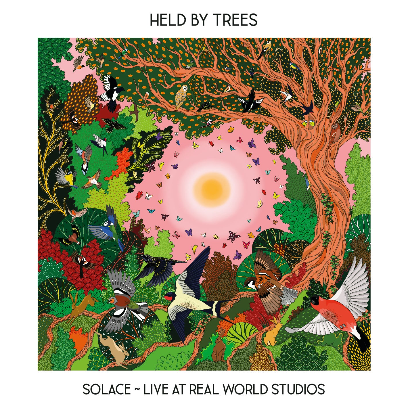 Solace: Live from Real World Studios