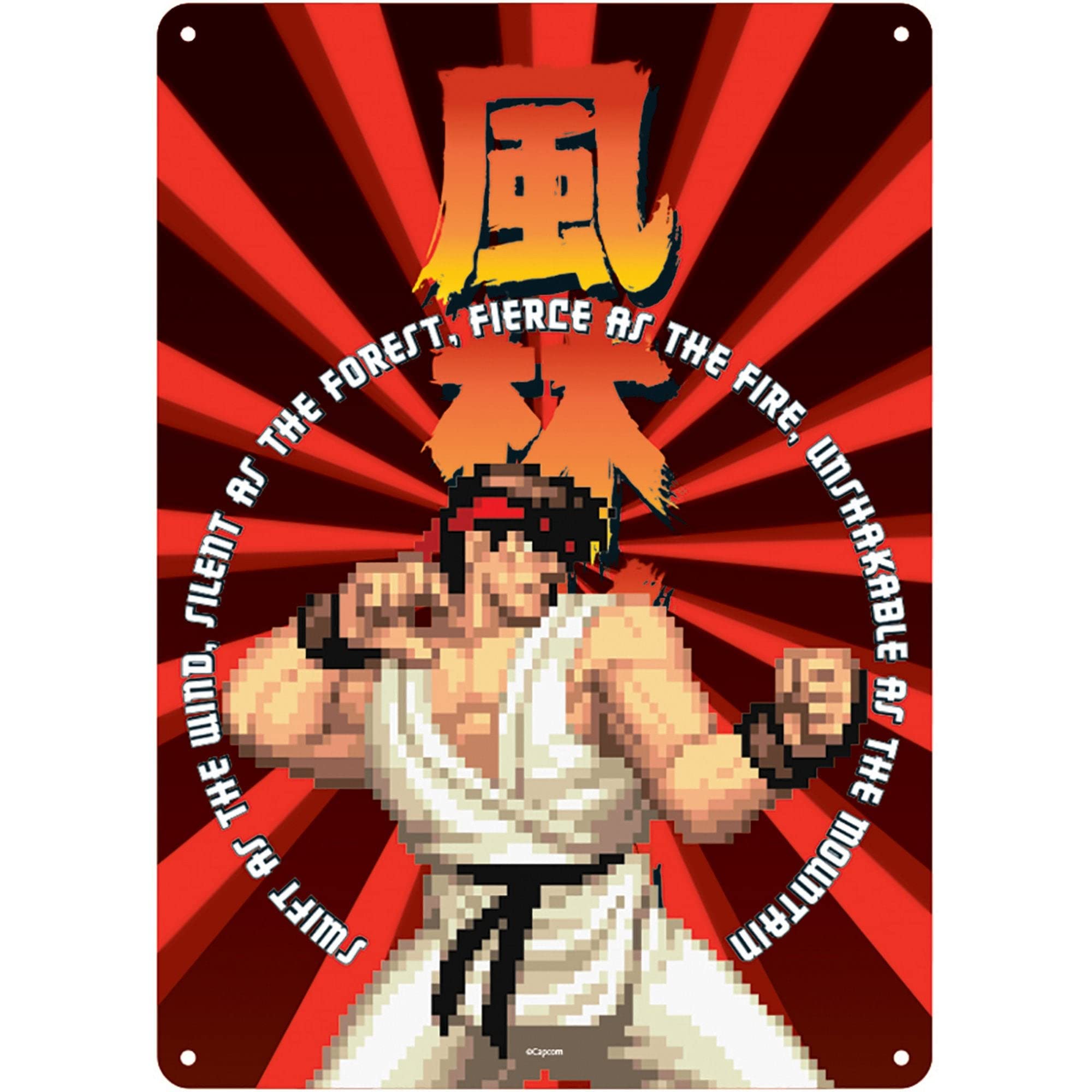 Street Fighter: Ryu (Targa Metallica Piccola)