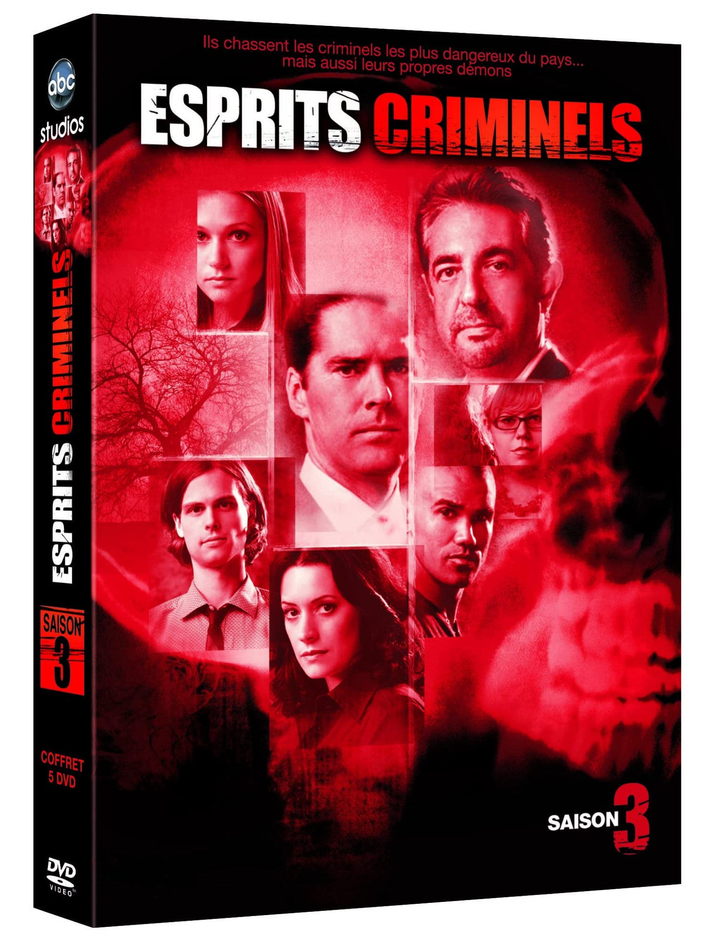 Esprits criminels, saison 3