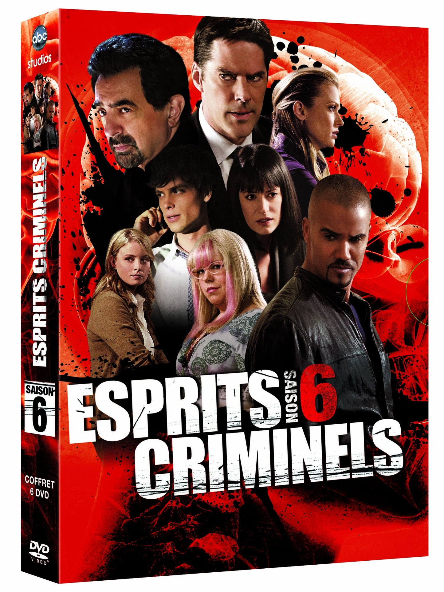 Coffret esprits criminels, saison 6