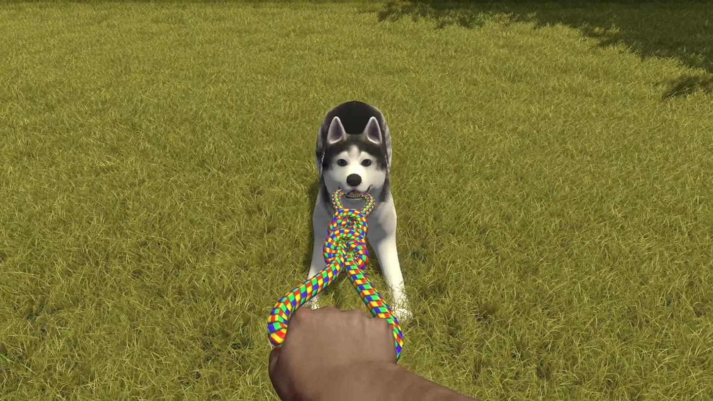 House Flipper - Pets Edition (Nintendo Switch
