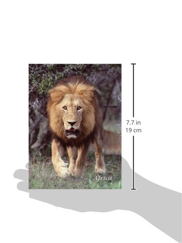 Lion Charging Journal