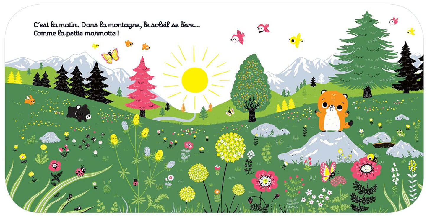 Regarde Dans La Montagne