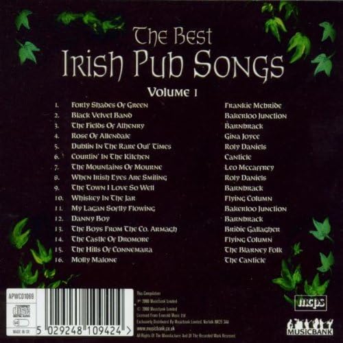 The Best Irish Pub Songs