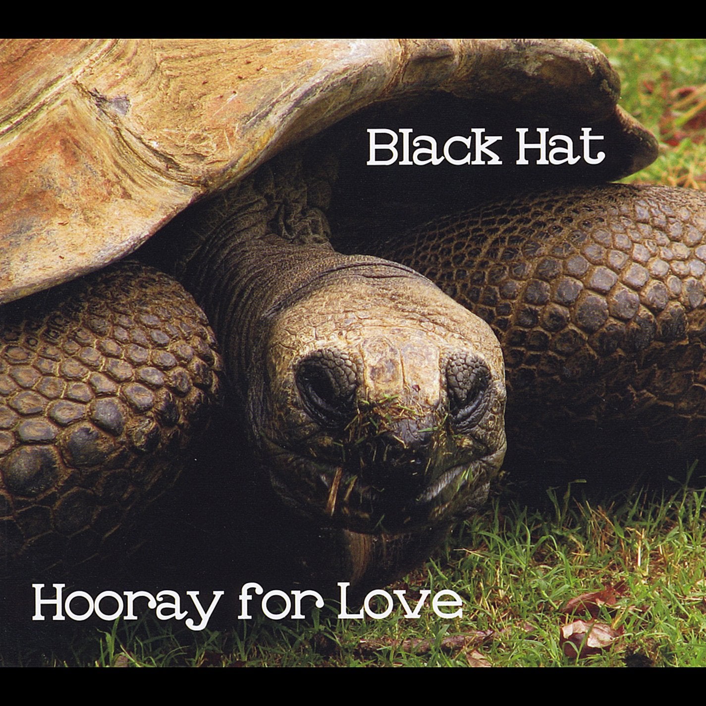 Hooray For Love