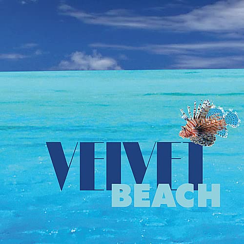 velvet beach