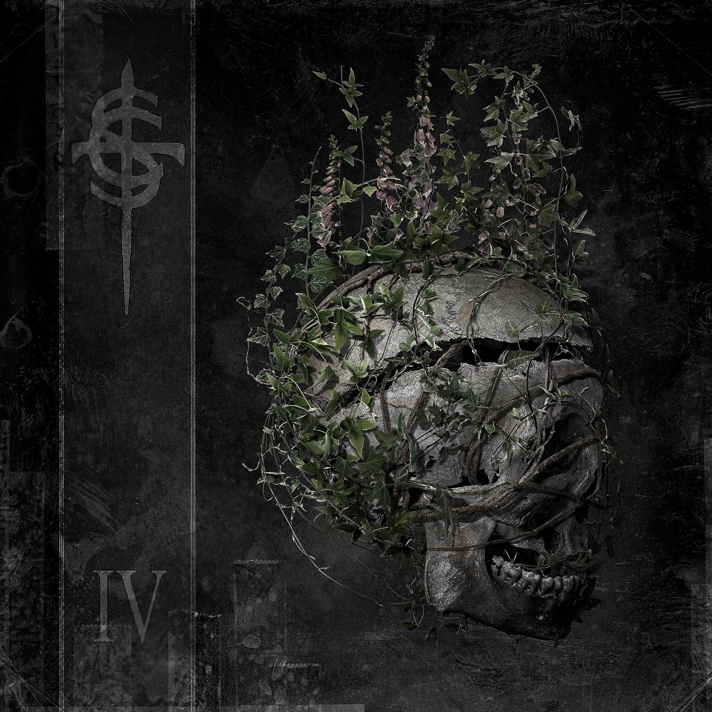 IV – The Healing