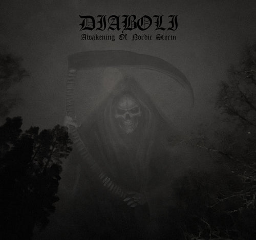 Awakening of Nordic Storm (Vinyl LP)