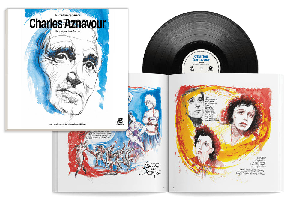 Vinyl Story