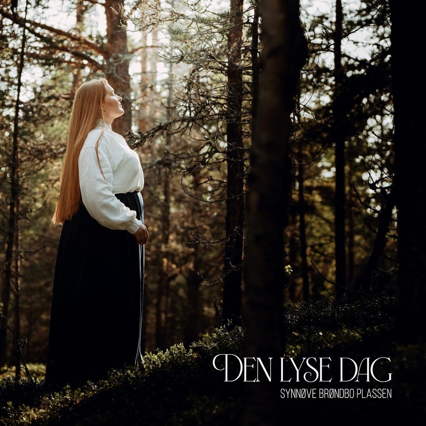 Den Lyse Dag