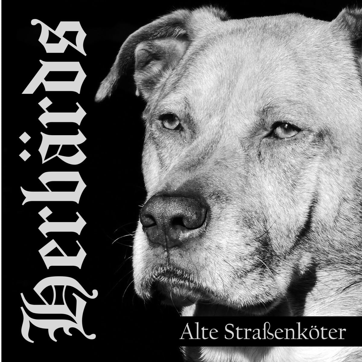 Alte Strassenköter(Ltd.Gtf. Yellow/Black