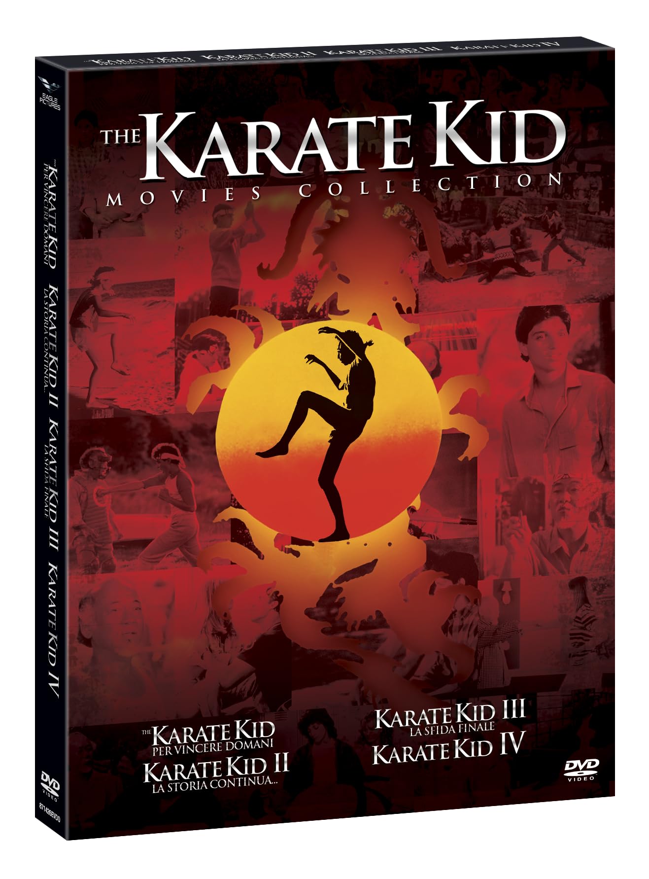 Karate Kid Collection - (4 Dvd