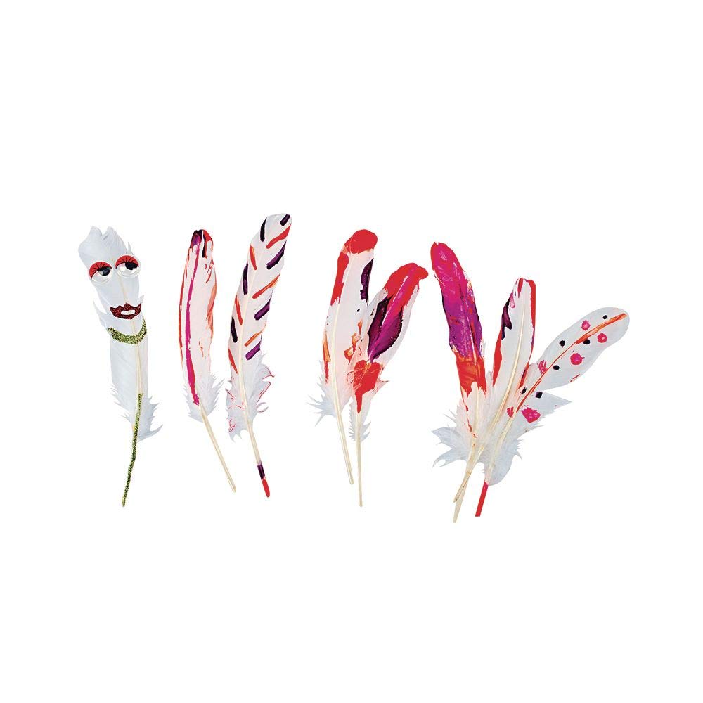 Colorations All Natural White Feathers Set of 48 (Item # WHFEAT