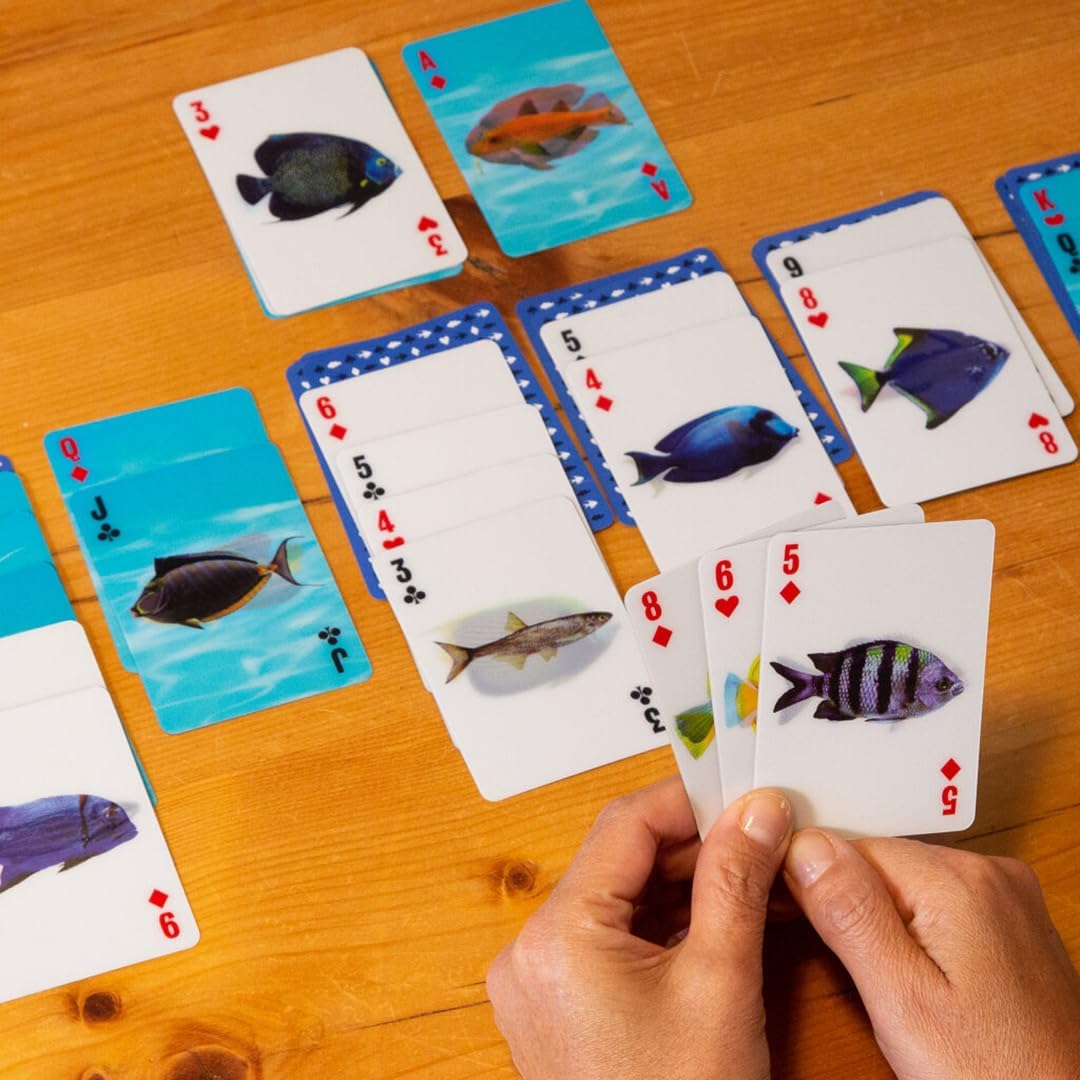 KIKKERLAND Fish 3D Cards