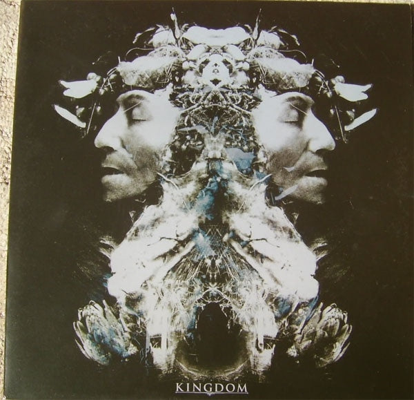 Kingdom