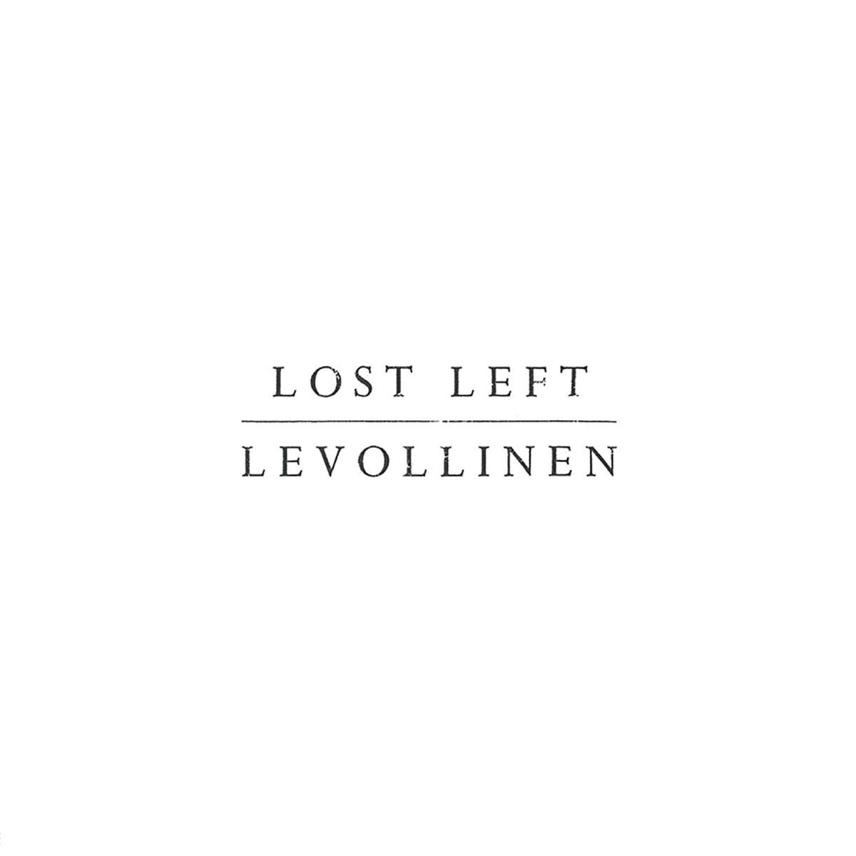 Levollinen