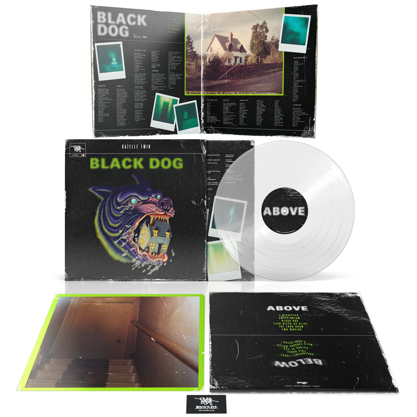 Black Dog