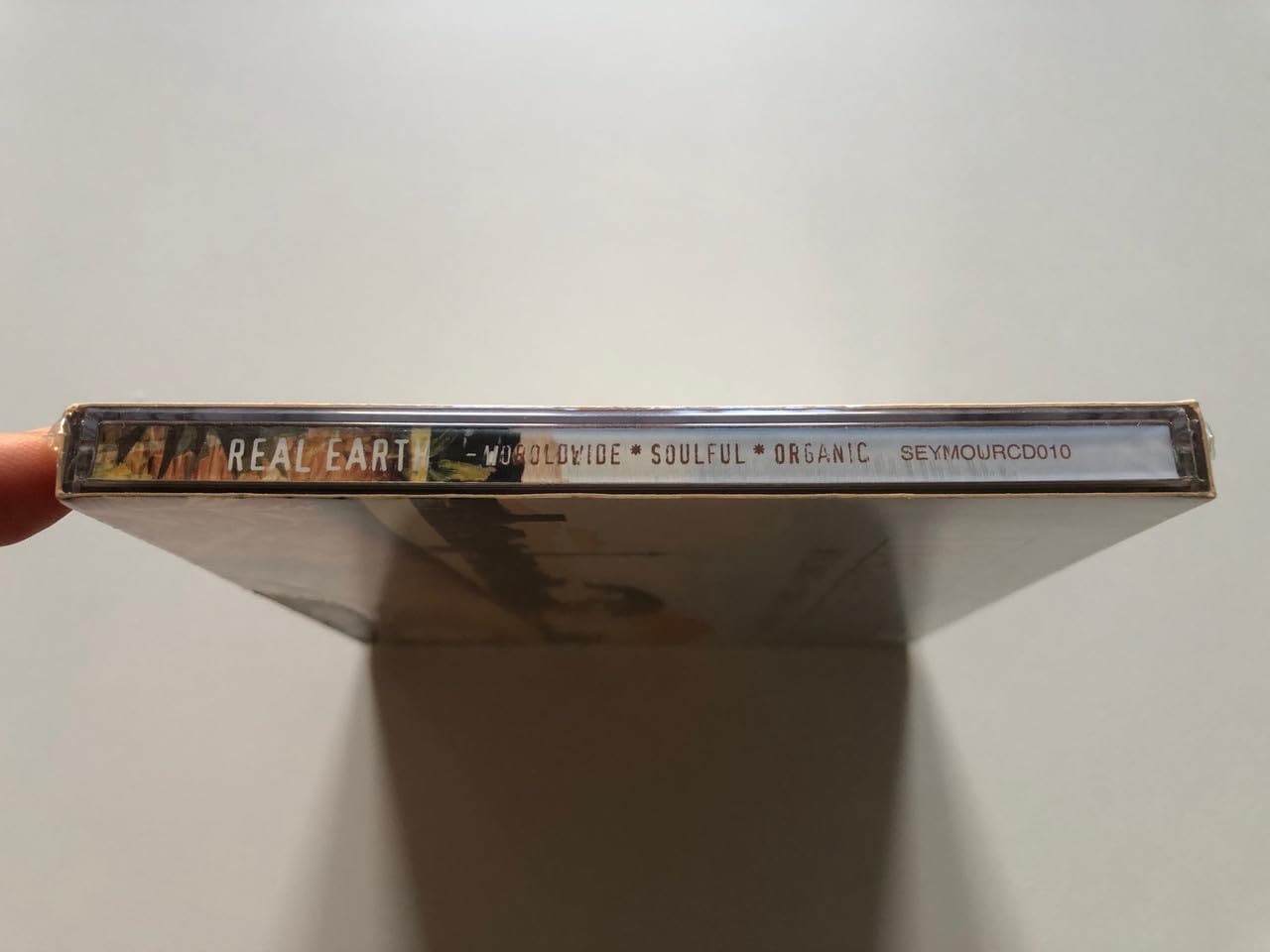 Real Earth -24tr