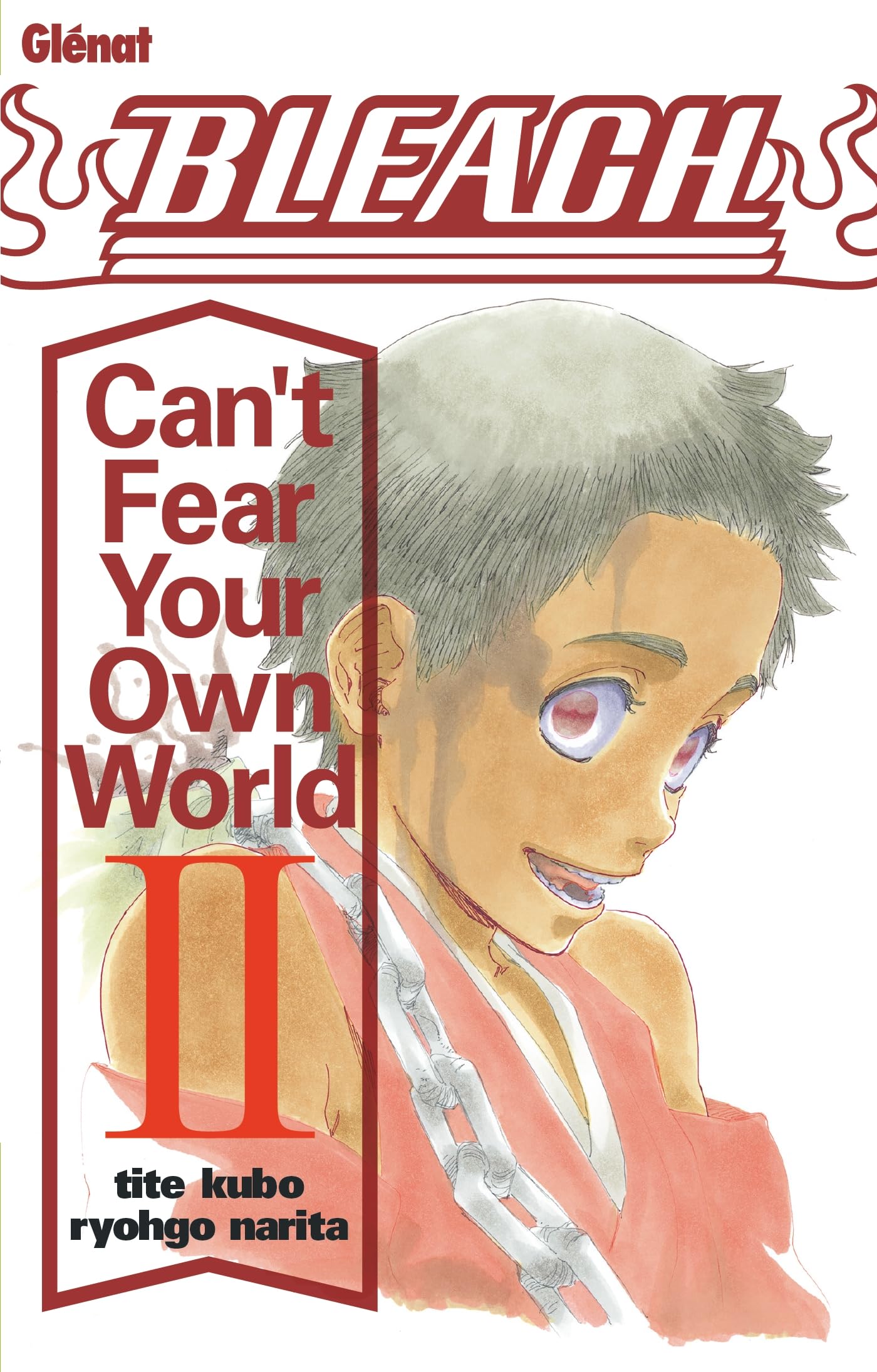 BLEACH - Cant Fear Your Own World - Roman - Tome 2