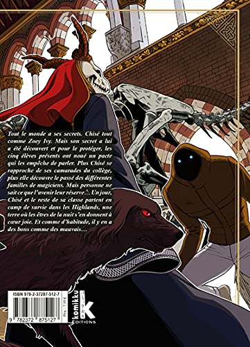 The ancient magus bride T13 (13)