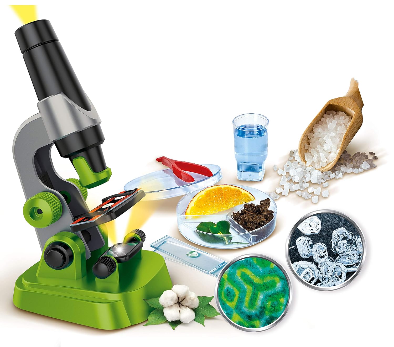Clementoni Galileo Lab – Mein erstes Mikroskop, Spielzeug für Kinder ab 8 Jahren, spannendes Biologie-Labor für kleine Forscher, Mikrobiologie für Schulkinder von Clementoni 59120