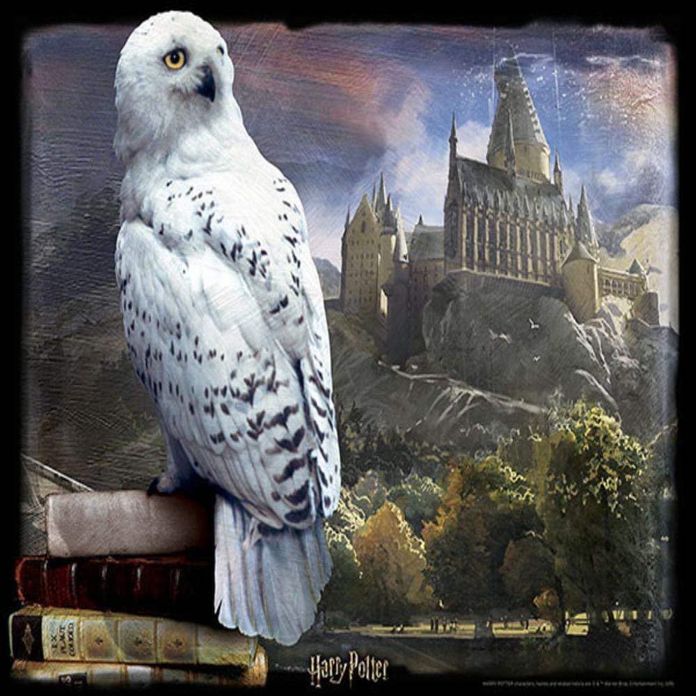 Grandi Giochi PU100000 Edvige Harry Potter Hedwig Horizontal lenticular puzzle, with 500 pieces included and 3D effect pack-PU100000