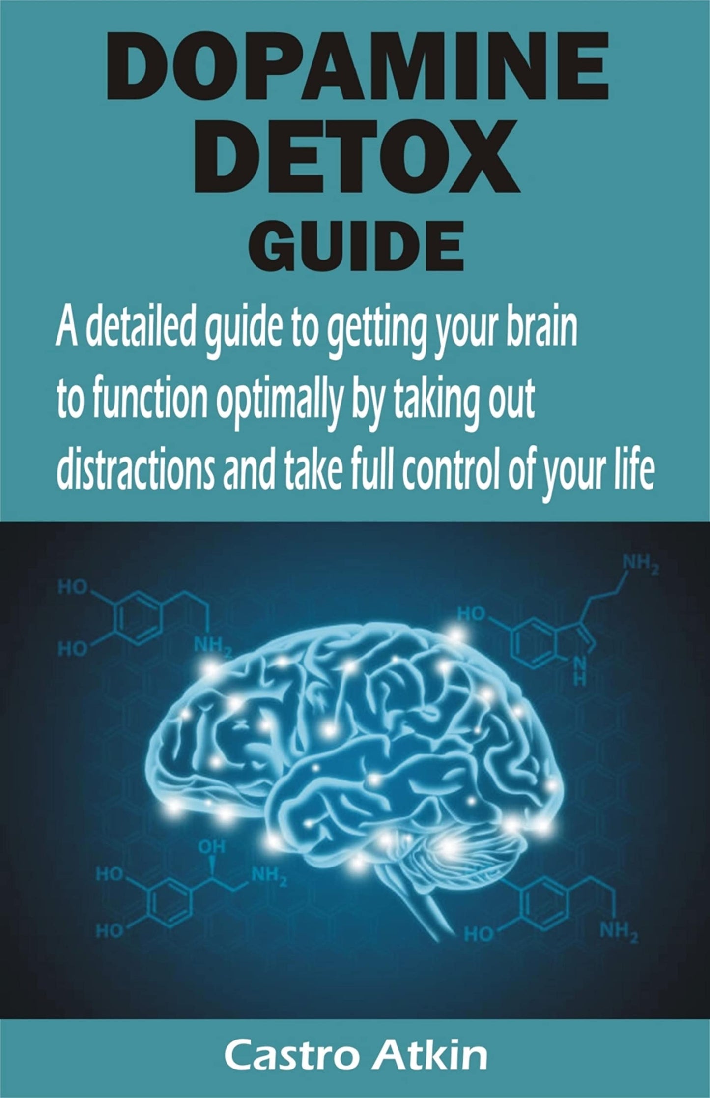 Dopamine Detox Guide