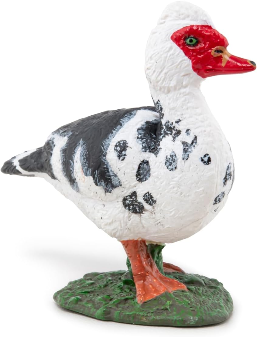 Papo - Hand painted - Animal Figure - Domestic Muscovy Duck - 51189 - Farm - Collectible - For Children - Suitable for Boys and Girls - From 3 years old