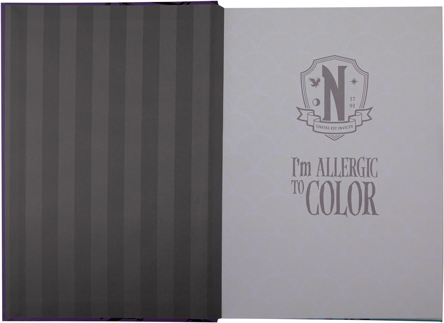 Cinereplicas Wednesday - Wednesday & Enid Hardcover Notebook - 14.5 * 21cm - Officially Licensed