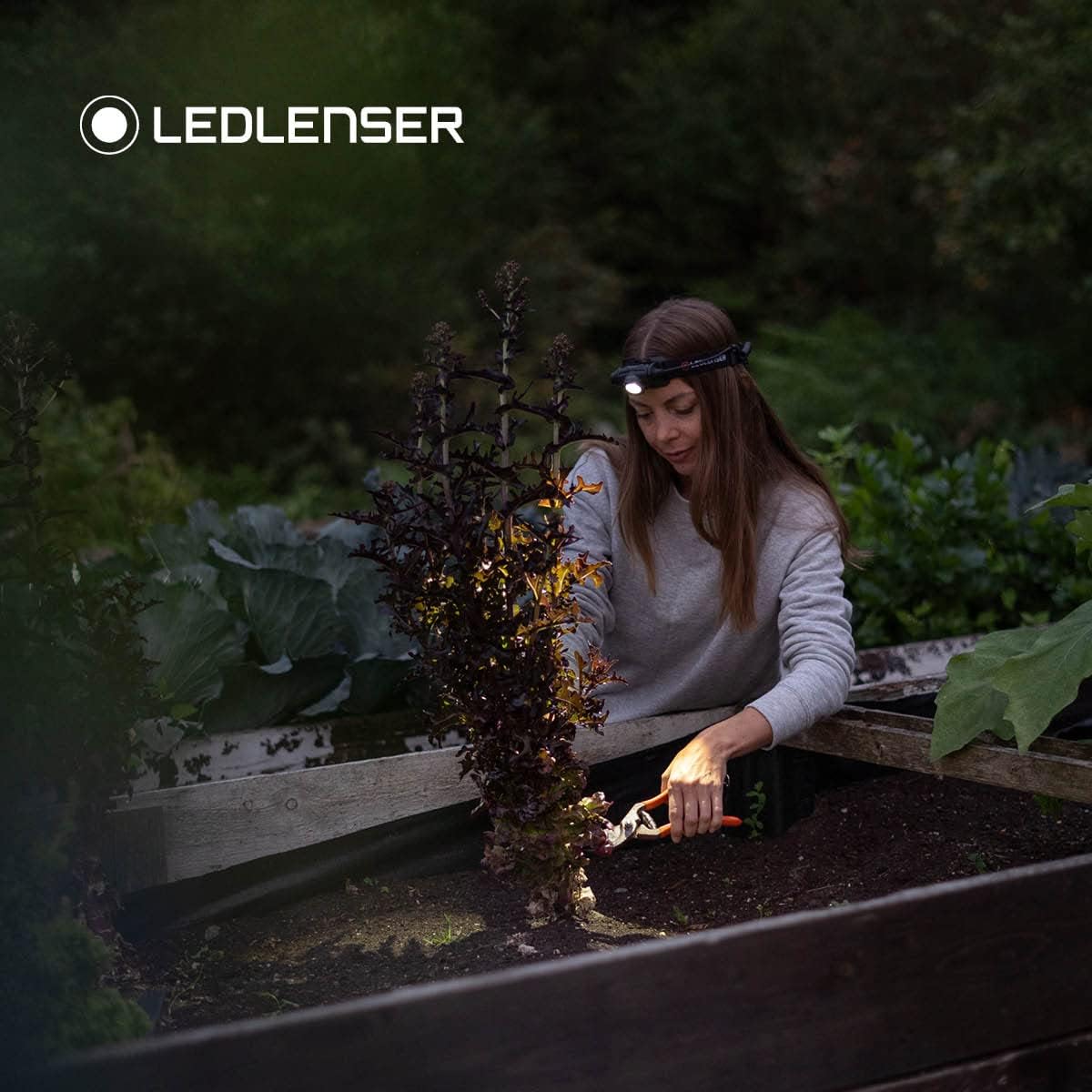 Ledlenser H5 Core / Black